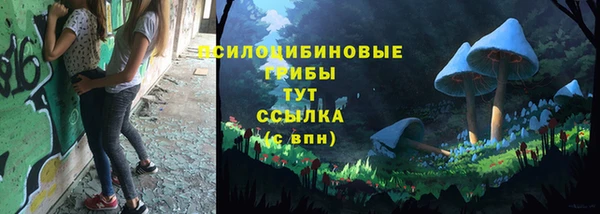 гидра Покров