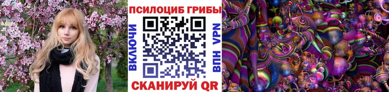 Псилоцибиновые грибы Psilocybine cubensis  darknet Telegram  Зарайск  хочу  
